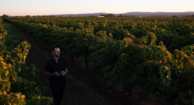 Yarran winemaker in vineyard